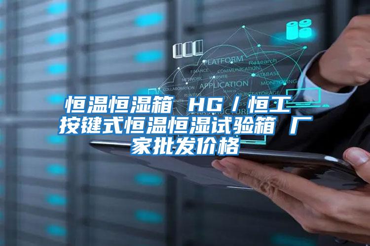 恒溫恒濕箱 HG/恒工 按鍵式恒溫恒濕試驗箱 廠家批發(fā)價格