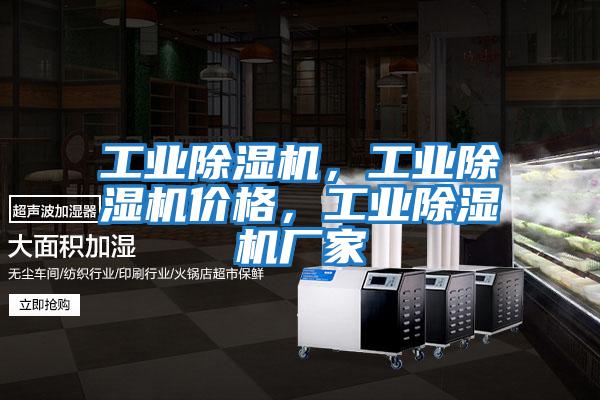 工業(yè)除濕機，工業(yè)除濕機價格，工業(yè)除濕機廠家