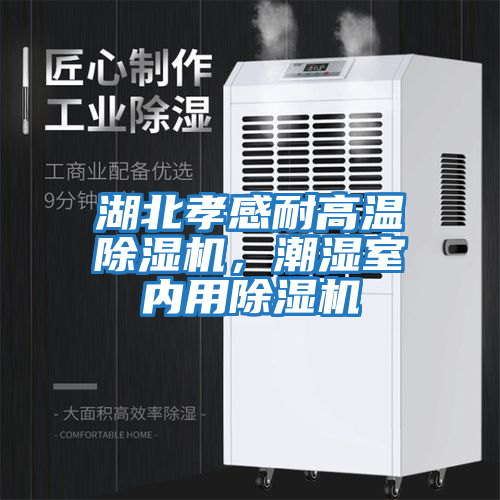 湖北孝感耐高溫除濕機，潮濕室內用除濕機