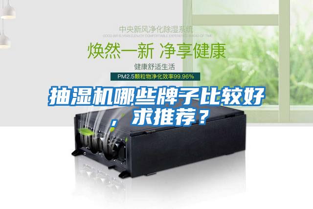 抽濕機哪些牌子比較好，求推薦？