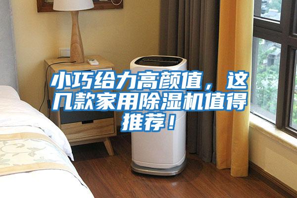 小巧給力高顏值,這幾款家用除濕機值得推薦!