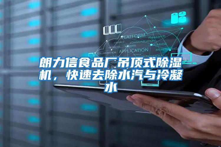 朗力信食品廠吊頂式除濕機(jī),快速去除水汽與冷凝水