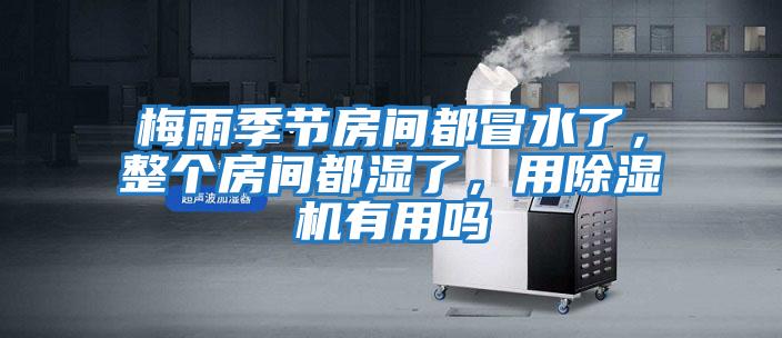 梅雨季節(jié)房間都冒水了,整個(gè)房間都濕了,用除濕機(jī)有用嗎