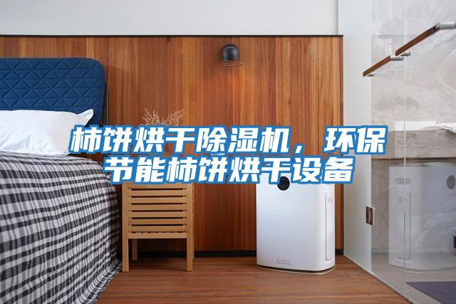 柿餅烘干除濕機，環(huán)保節(jié)能柿餅烘干設備