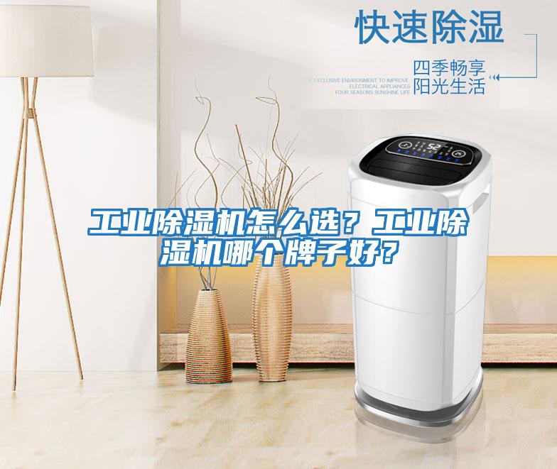 工業除濕機怎么選？工業除濕機哪個牌子好？