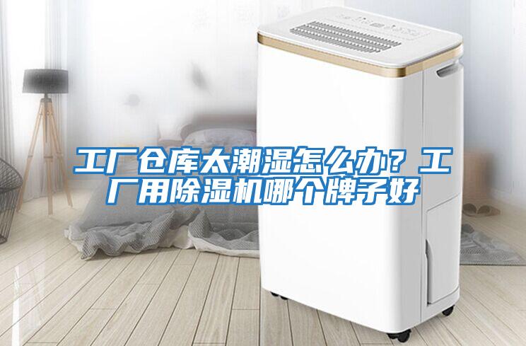 工廠倉庫太潮濕怎么辦？工廠用除濕機哪個牌子好