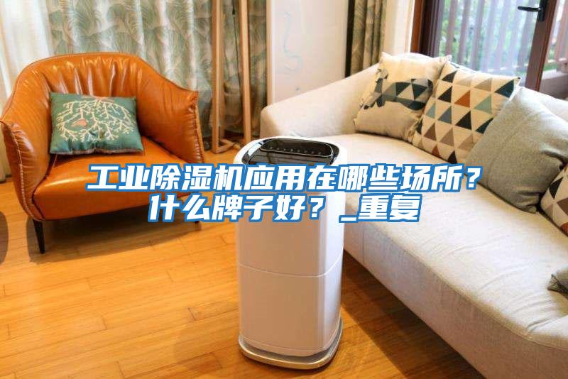 工業(yè)除濕機(jī)應(yīng)用在哪些場(chǎng)所？什么牌子好？_重復(fù)