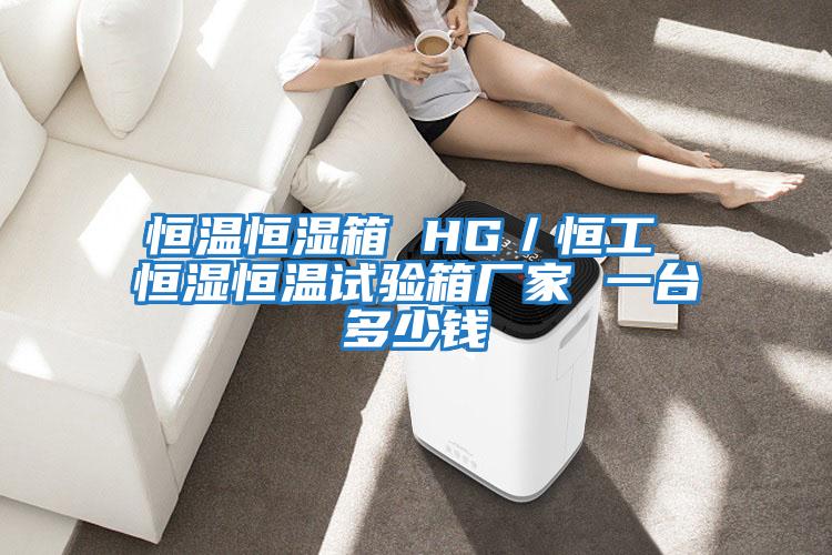 恒溫恒濕箱 HG/恒工 恒濕恒溫試驗箱廠家 一臺多少錢