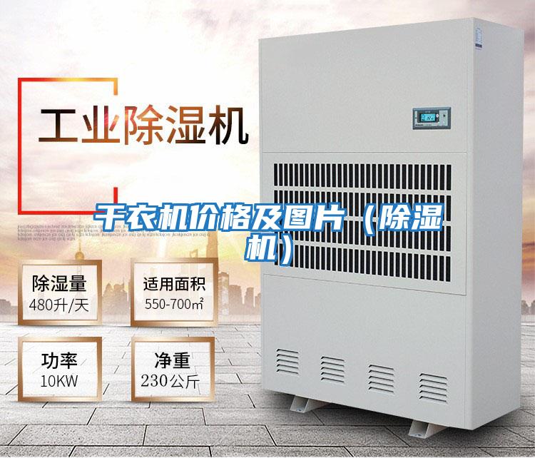 干衣機價格及圖片(除濕機)