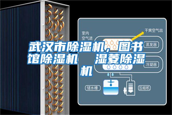 武漢市除濕機，圖書館除濕機  濕菱除濕機