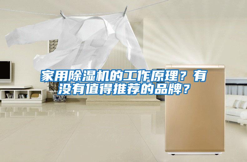 家用除濕機的工作原理？有沒有值得推薦的品牌？