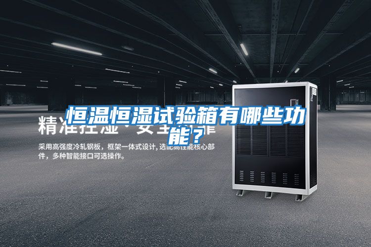 恒溫恒濕試驗箱有哪些功能？