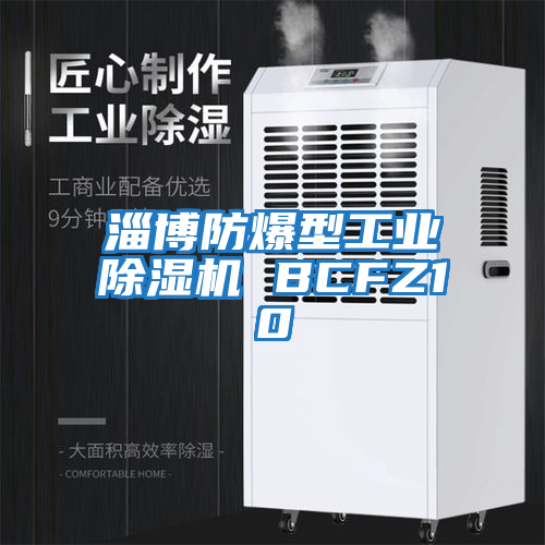 淄博防爆型工業除濕機 BCFZ10