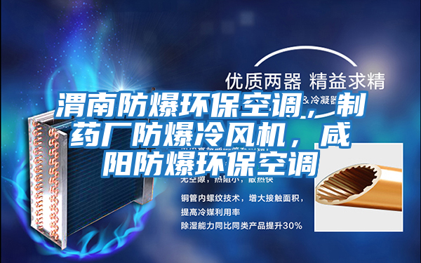 渭南防爆環(huán)保空調(diào),制藥廠防爆冷風(fēng)機(jī),咸陽(yáng)防爆環(huán)保空調(diào)