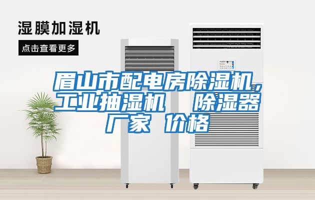 眉山市配電房除濕機,工業抽濕機 除濕器廠家 價格