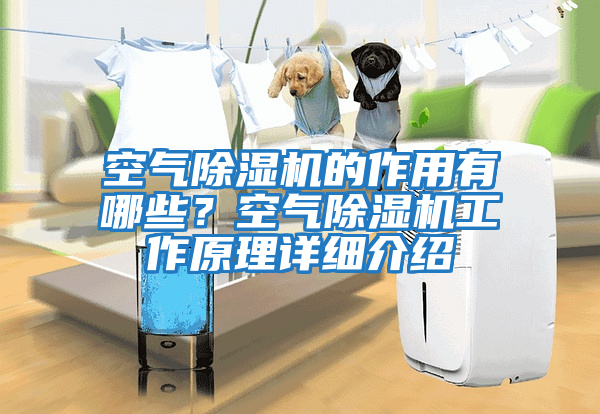 空氣除濕機的作用有哪些？空氣除濕機工作原理詳細介紹
