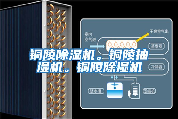 銅陵除濕機(jī)。銅陵抽濕機(jī)。銅陵除濕機(jī)
