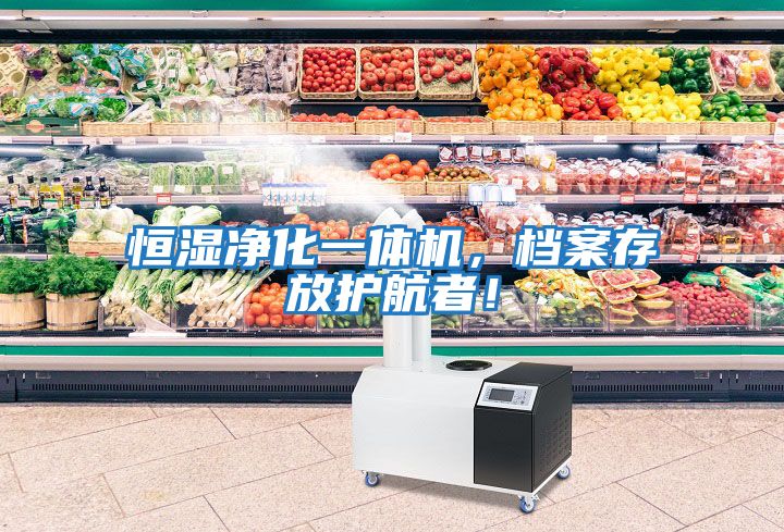 恒濕凈化一體機(jī)，檔案存放護(hù)航者！