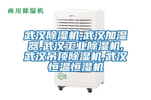 武漢除濕機,武漢加濕器,武漢工業除濕機,武漢吊頂除濕機,武漢恒溫恒濕機
