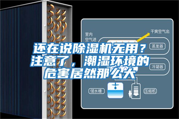 還在說除濕機無用?注意了,潮濕環境的危害居然那么大