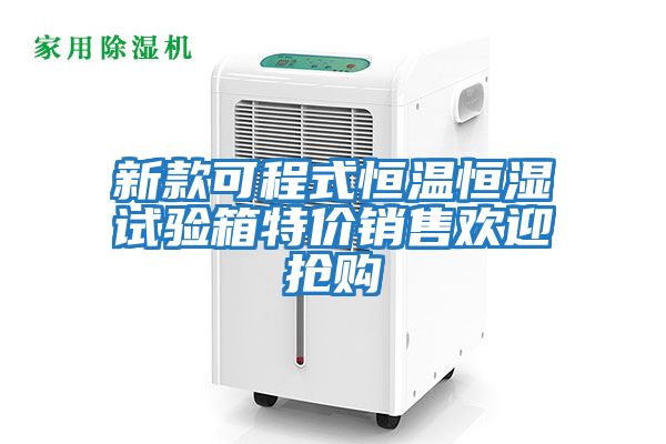 新款可程式恒溫恒濕試驗(yàn)箱特價銷售歡迎搶購