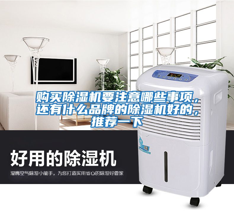 購(gòu)買(mǎi)除濕機(jī)要注意哪些事項(xiàng)，還有什么品牌的除濕機(jī)好的，推薦一下