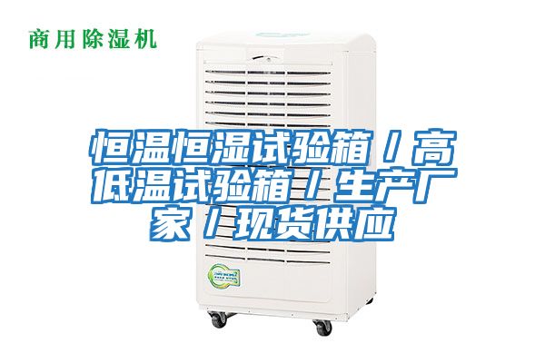 恒溫恒濕試驗箱/高低溫試驗箱/生產廠家/現貨供應