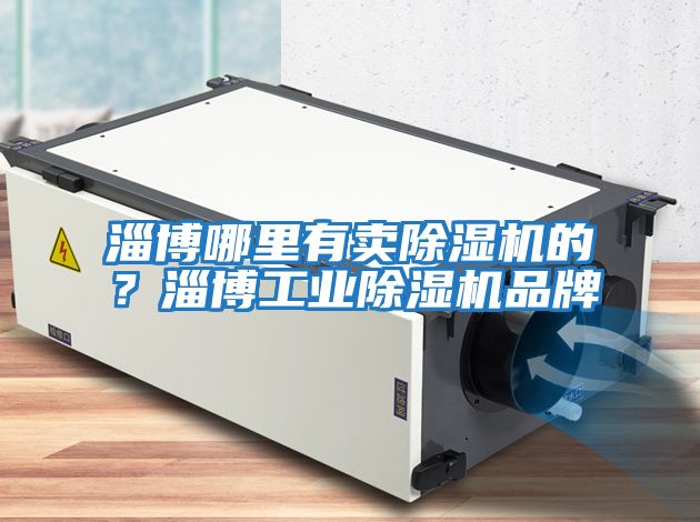 淄博哪里有賣除濕機(jī)的？淄博工業(yè)除濕機(jī)品牌