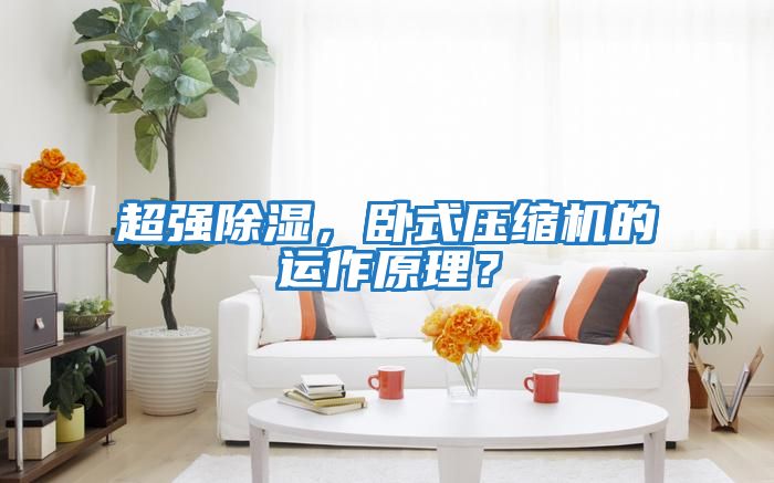 超強除濕，臥式壓縮機的運作原理？