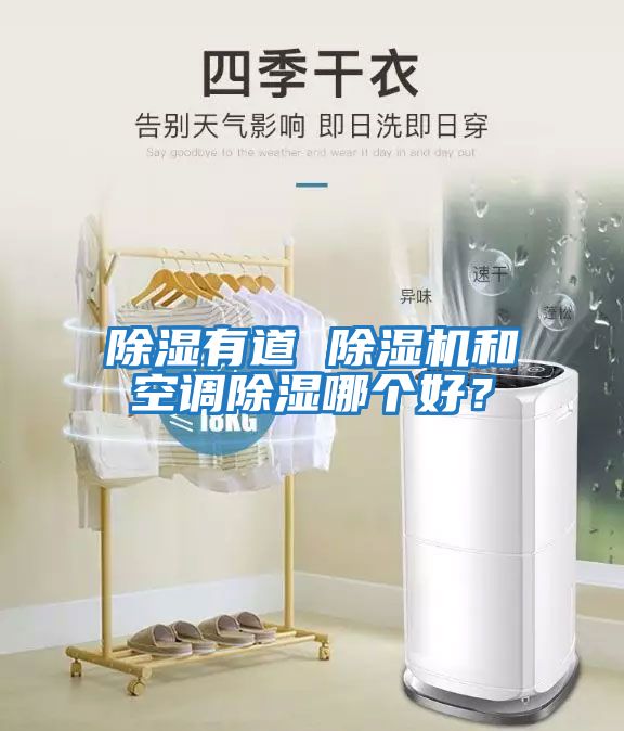 除濕有道 除濕機(jī)和空調(diào)除濕哪個好？