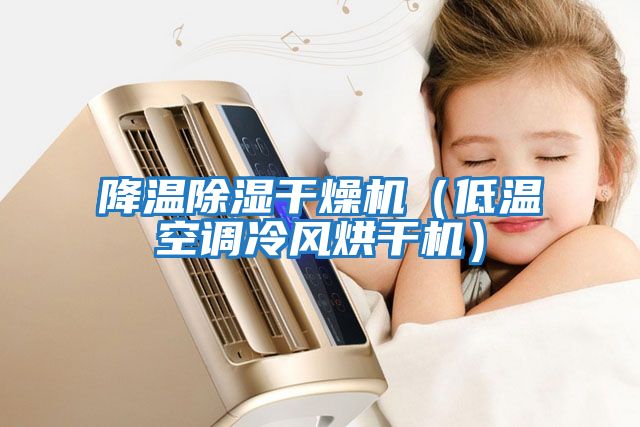 降溫除濕干燥機(低溫空調(diào)冷風(fēng)烘干機)