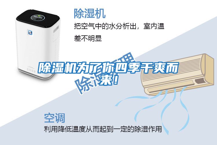 除濕機為了你四季干爽而來！