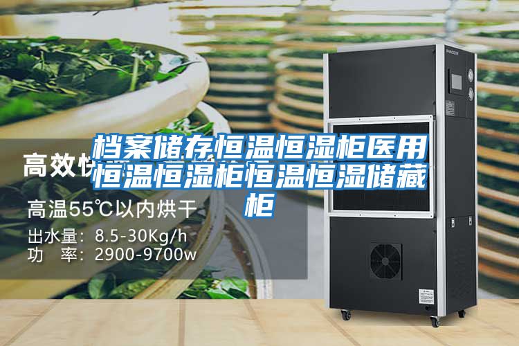 檔案儲存恒溫恒濕柜醫用恒溫恒濕柜恒溫恒濕儲藏柜