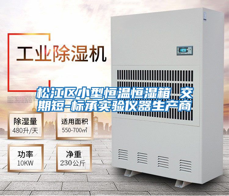 松江區(qū)小型恒溫恒濕箱 交期短-標承實驗儀器生產(chǎn)商