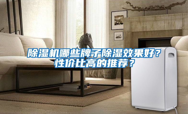 除濕機(jī)哪些牌子除濕效果好？性價比高的推薦？