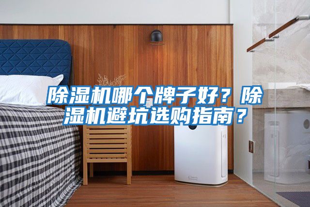 除濕機(jī)哪個牌子好？除濕機(jī)避坑選購指南？