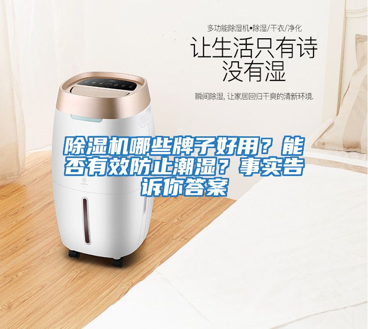 除濕機(jī)哪些牌子好用？能否有效防止潮濕？事實告訴你答案