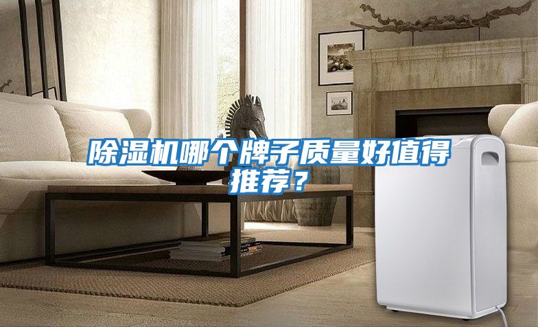 除濕機(jī)哪個牌子質(zhì)量好值得推薦？