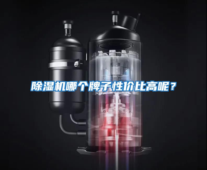 除濕機(jī)哪個牌子性價比高呢？