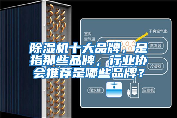 除濕機十大品牌，是指那些品牌，行業(yè)協(xié)會推薦是哪些品牌？