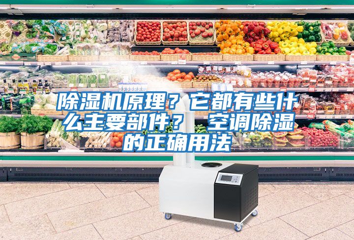 除濕機原理？它都有些什么主要部件？ 空調(diào)除濕的正確用法