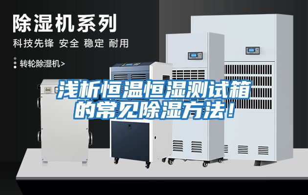 淺析恒溫恒濕測(cè)試箱的常見除濕方法！