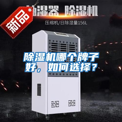 除濕機哪個牌子好，如何選擇？