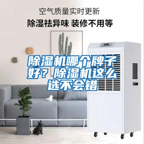 除濕機(jī)哪個牌子好？除濕機(jī)這么選不會錯