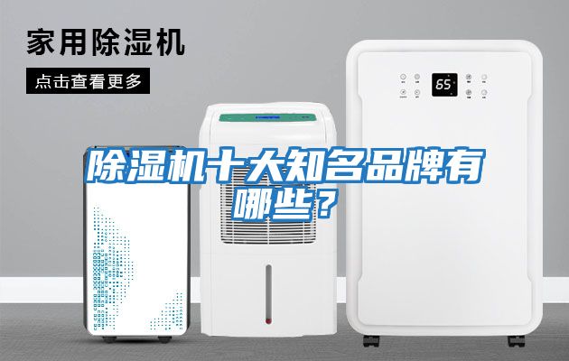 除濕機十大知名品牌有哪些？