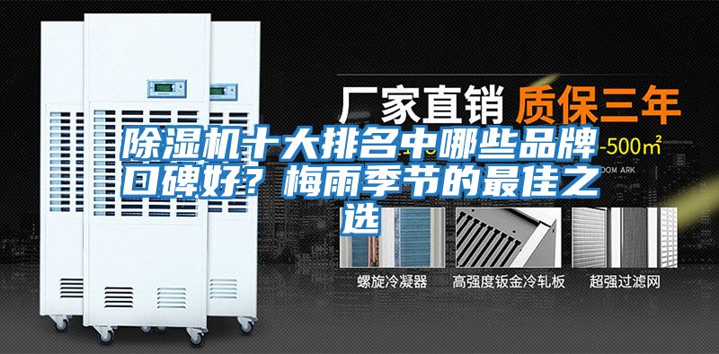 除濕機十大排名中哪些品牌口碑好？梅雨季節的最佳之選