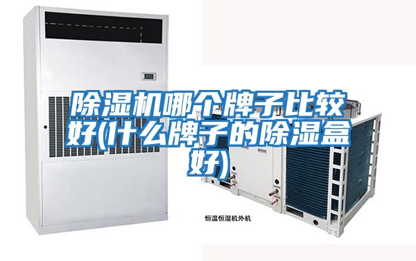 除濕機(jī)哪個牌子比較好(什么牌子的除濕盒好)