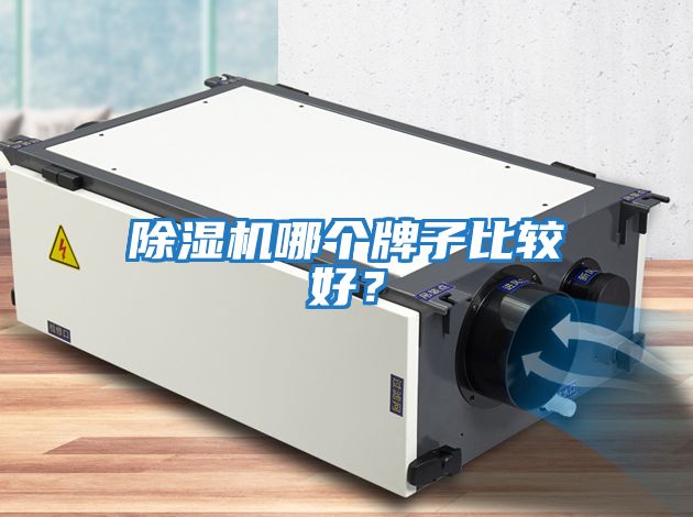 除濕機(jī)哪個牌子比較好？