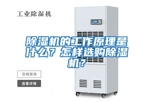 除濕機的工作原理是什么？怎樣選購除濕機？