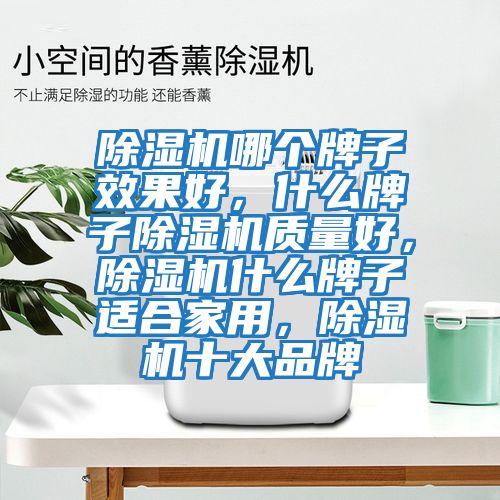 除濕機(jī)哪個(gè)牌子效果好,什么牌子除濕機(jī)質(zhì)量好,除濕機(jī)什么牌子適合家用,除濕機(jī)十大品牌